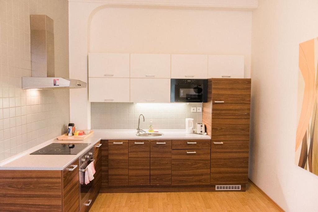Lion Apartments In Historical Center, Bratislava Old Town Екстер'єр фото