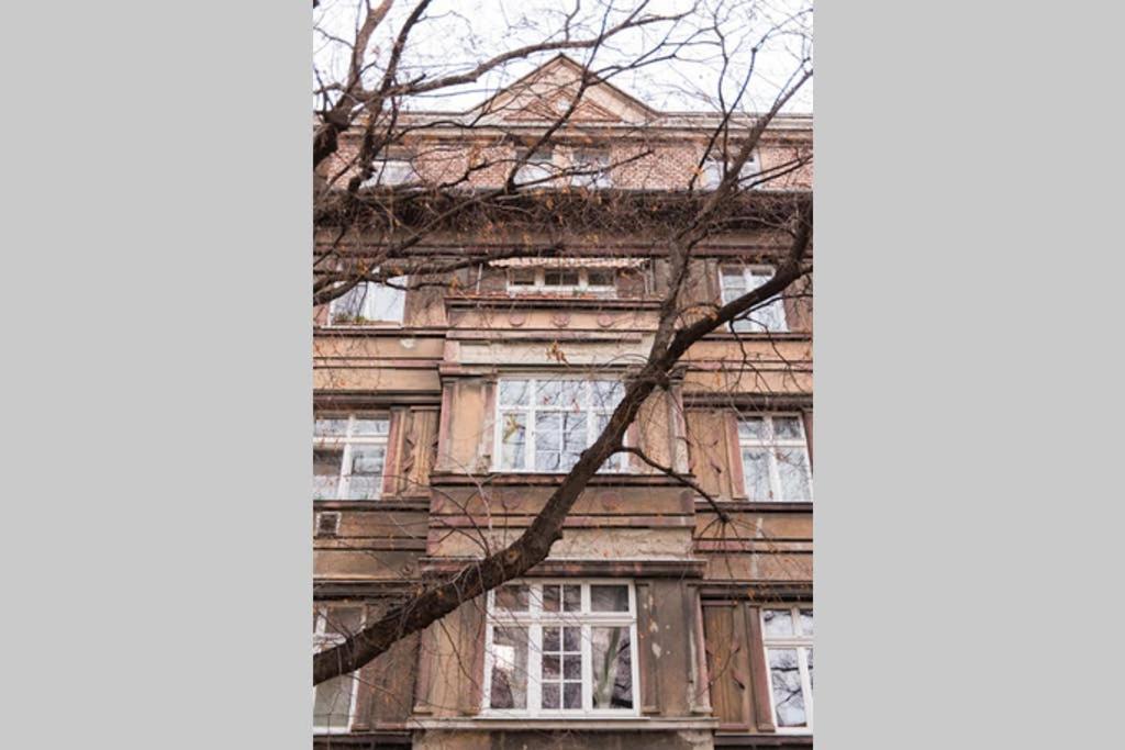Lion Apartments In Historical Center, Bratislava Old Town Екстер'єр фото