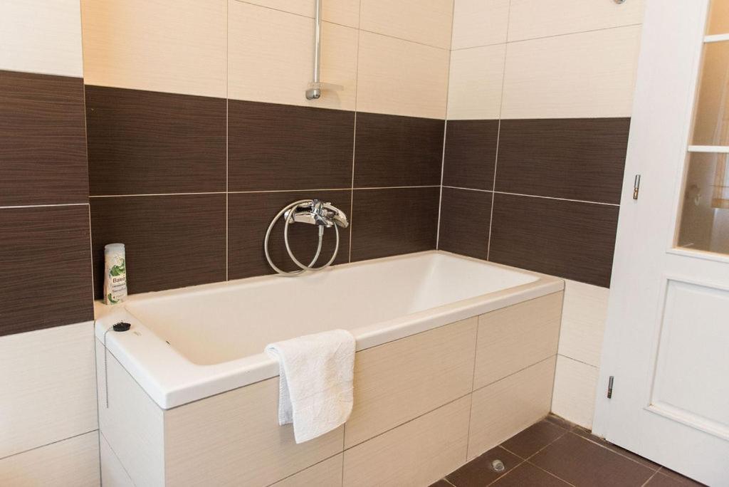 Lion Apartments In Historical Center, Bratislava Old Town Екстер'єр фото